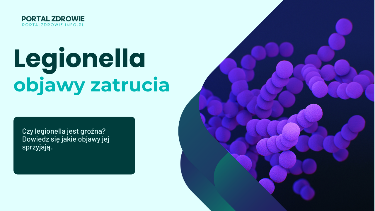 Legionella – jak można zarazić się legionellą? Objawy towarzyszące zarażeniu